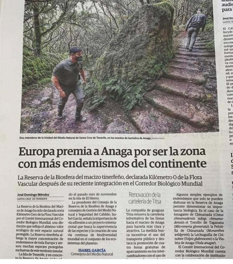 La Casita De Omar En El Corazon De Anaga Y La Laguna Las Mercedes Zewnętrze zdjęcie