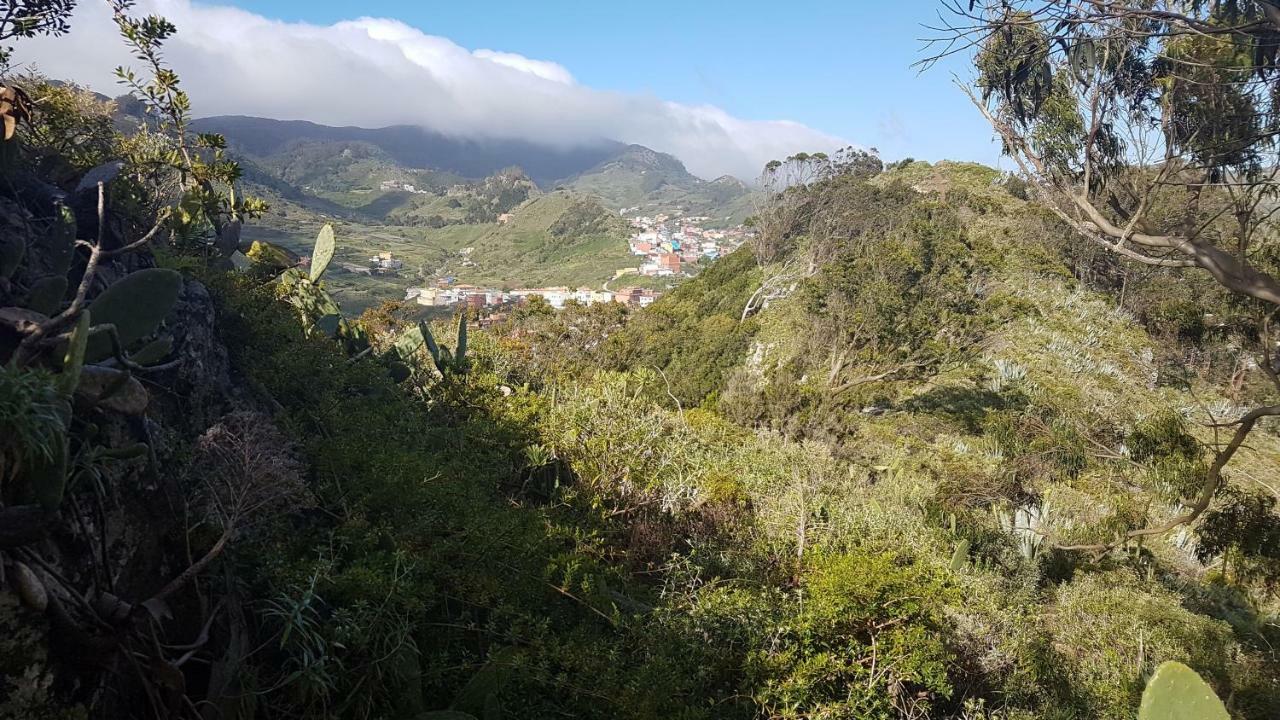 La Casita De Omar En El Corazon De Anaga Y La Laguna Las Mercedes Zewnętrze zdjęcie