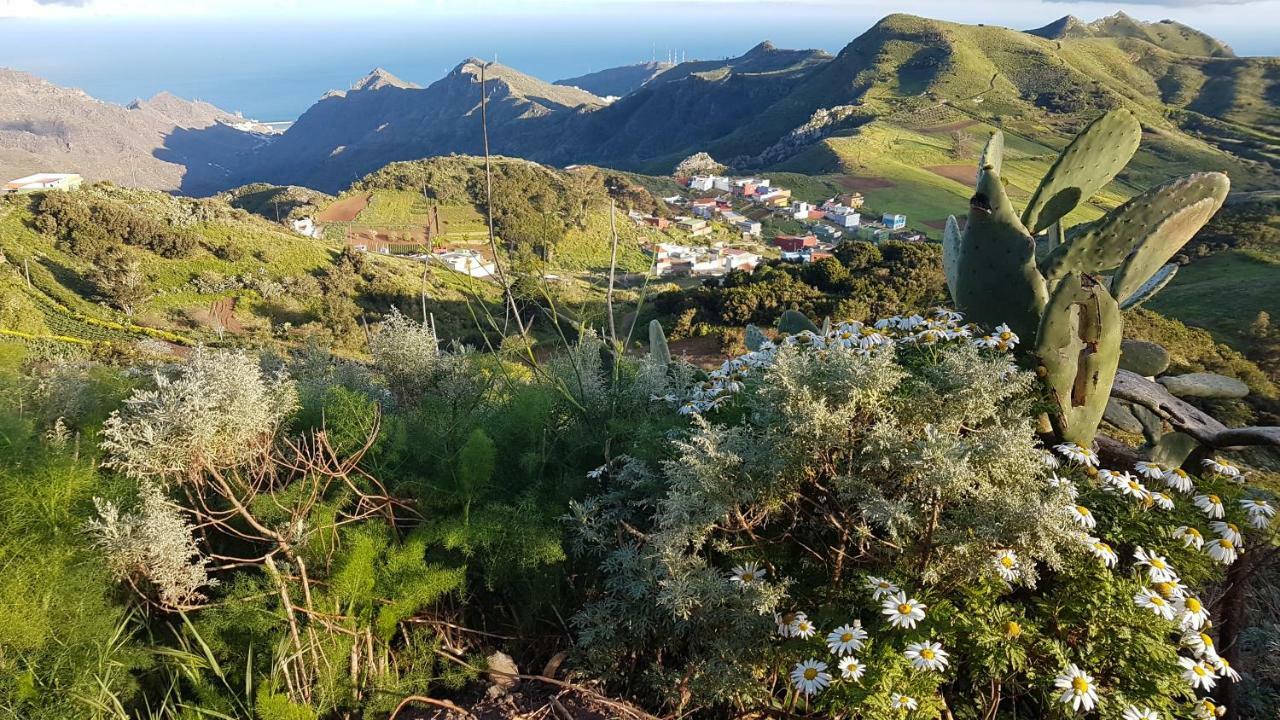 La Casita De Omar En El Corazon De Anaga Y La Laguna Las Mercedes Zewnętrze zdjęcie