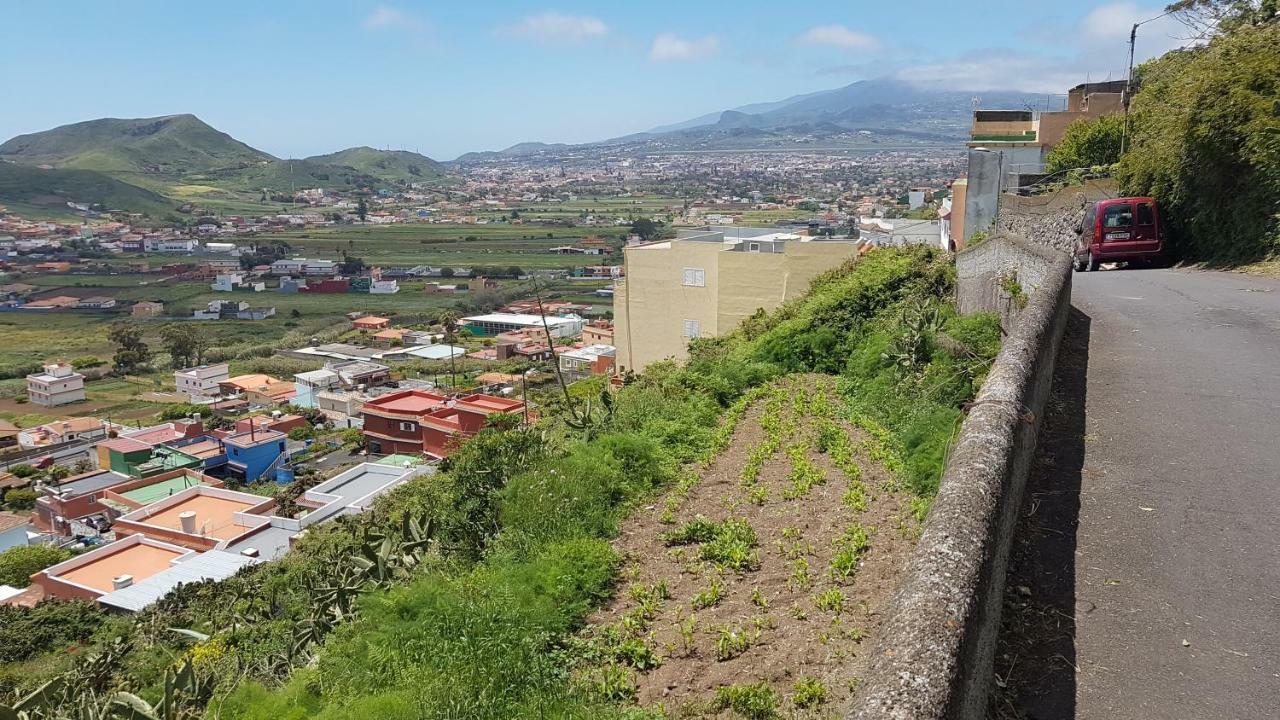 La Casita De Omar En El Corazon De Anaga Y La Laguna Las Mercedes Zewnętrze zdjęcie