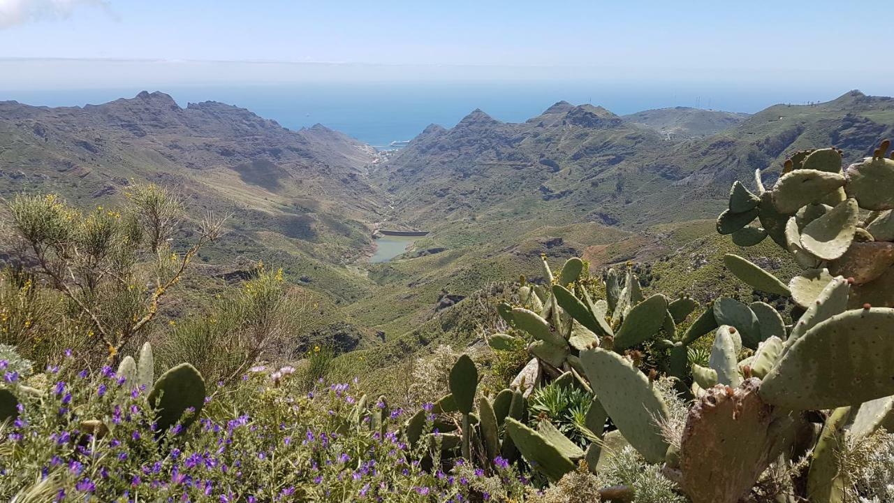La Casita De Omar En El Corazon De Anaga Y La Laguna Las Mercedes Zewnętrze zdjęcie