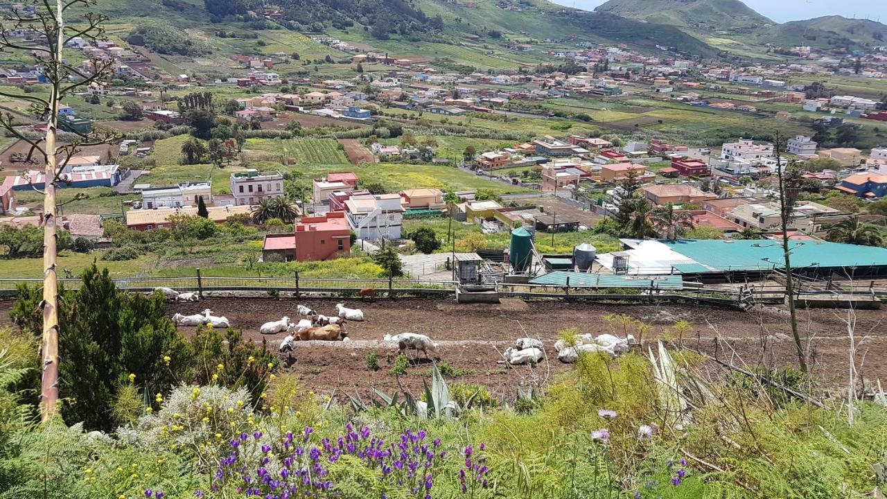 La Casita De Omar En El Corazon De Anaga Y La Laguna Las Mercedes Zewnętrze zdjęcie